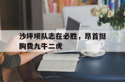 足球直播吧-包含沙坪坝队志在必胜，昂首挺胸费九牛二虎的词条