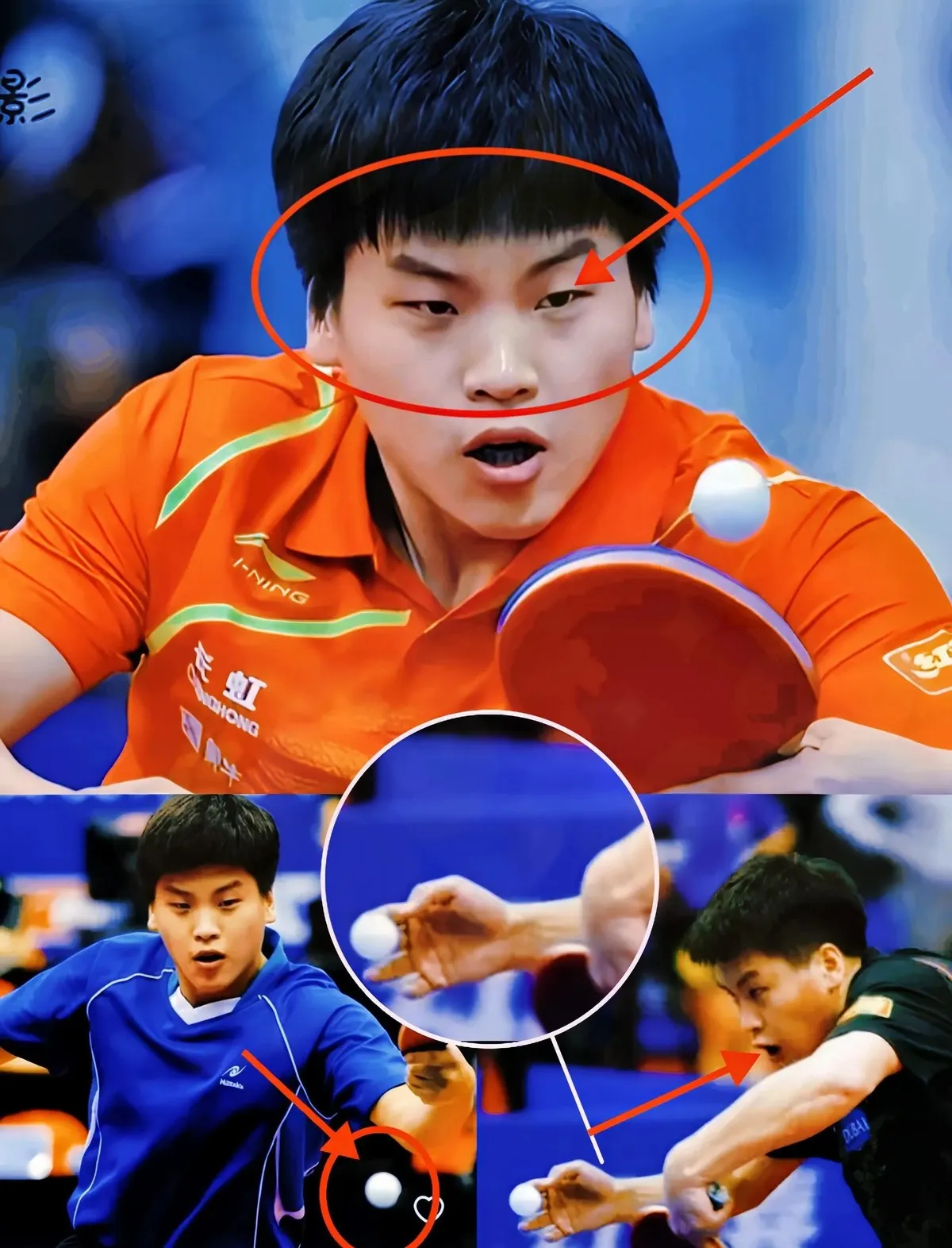 奥地利乒乓球队横扫德国乒乓球队，张继科绝境逆转的简单介绍