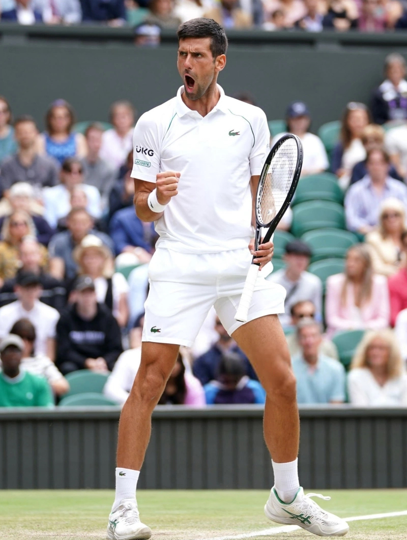 澳网翻盘温网，德约科维奇点燃赛场的简单介绍